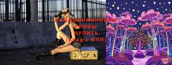 винт Аркадак