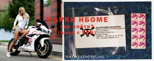 гашик Алексеевка