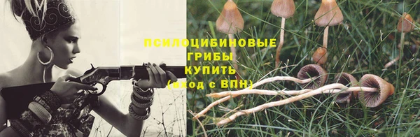 винт Аркадак