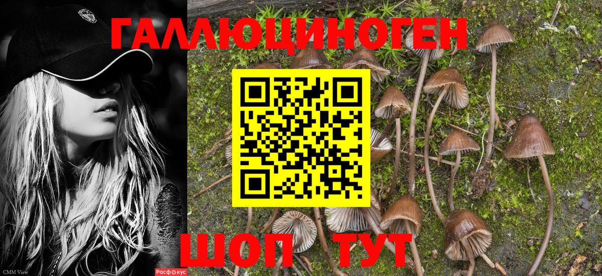 Псилоцибиновые грибы прущие грибы Когалым